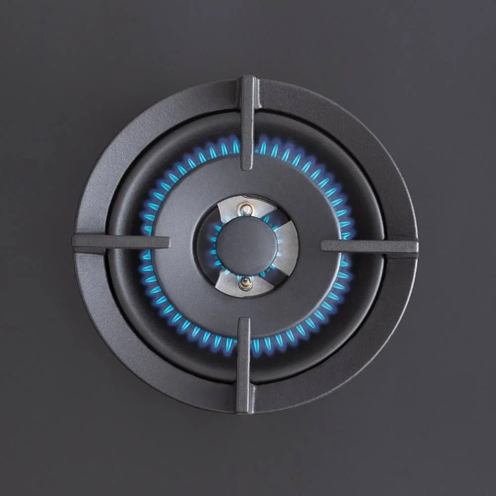 Bertazzoni P905CPROGNE