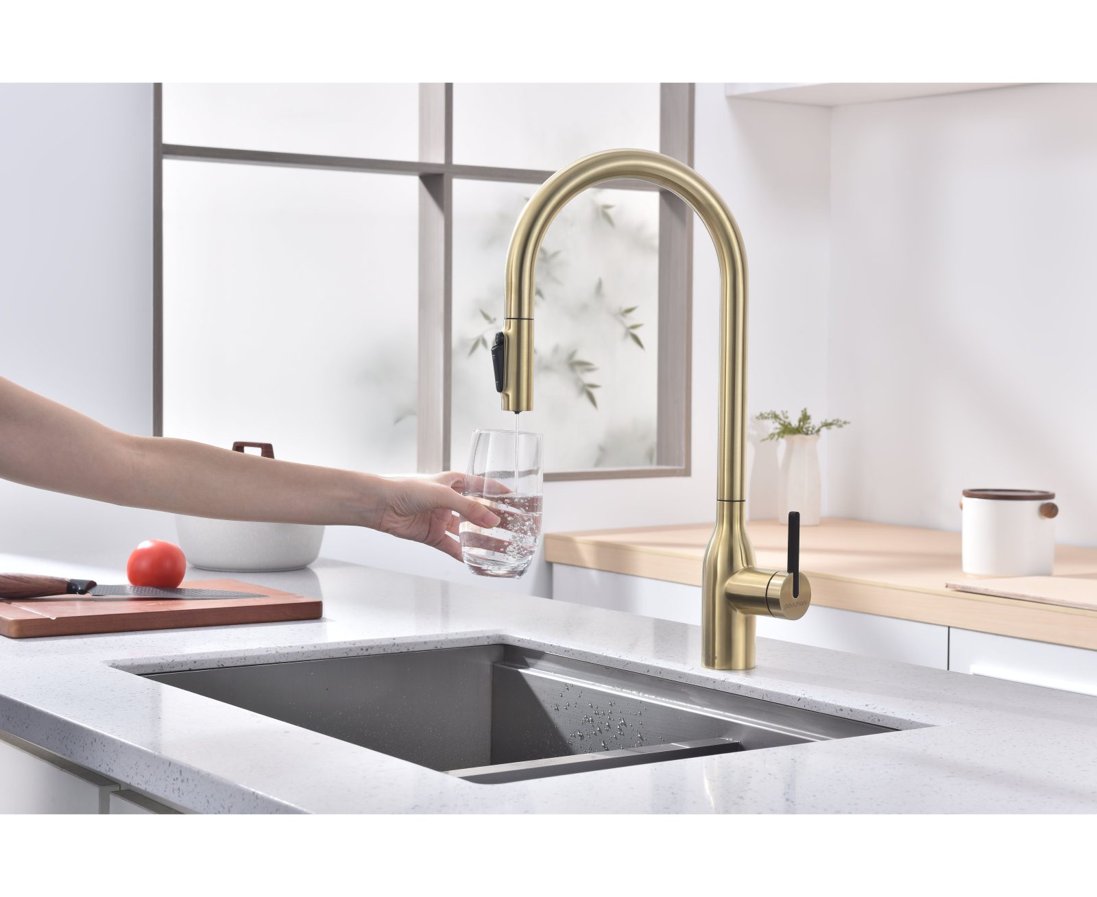 Paulmark Un213880-LG